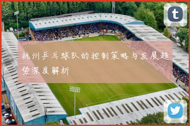 杭州乒乓球队的控制策略与发展趋势深度解析