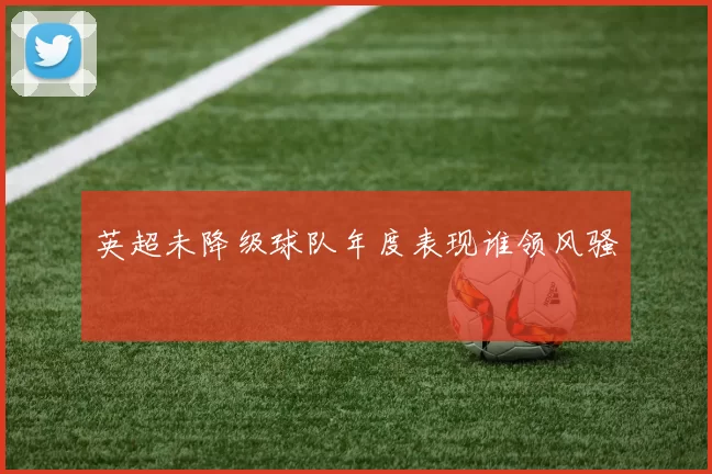 英超未降级球队年度表现谁领风骚