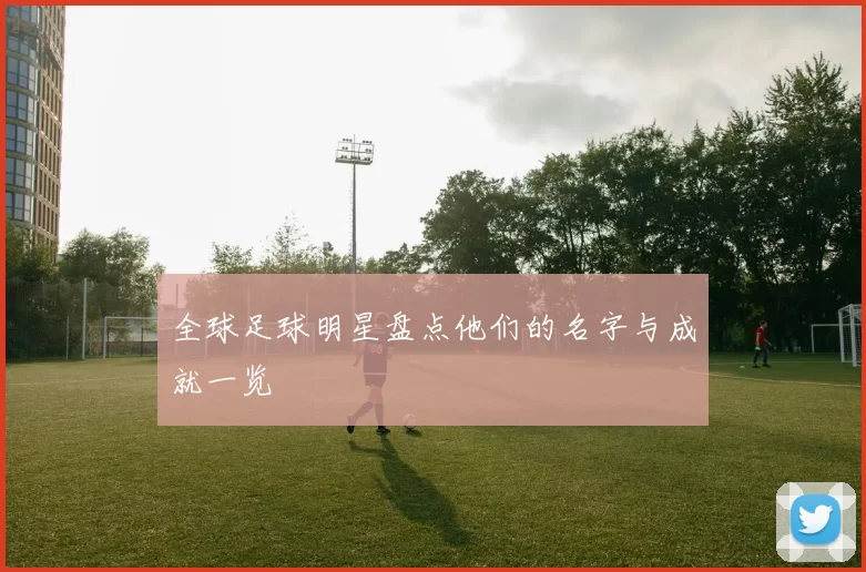 全球足球明星盘点他们的名字与成就一览