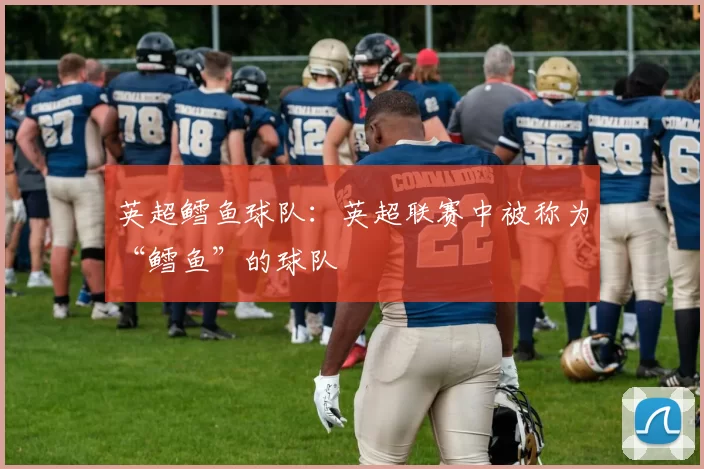 英超鳕鱼球队：英超联赛中被称为“鳕鱼”的球队