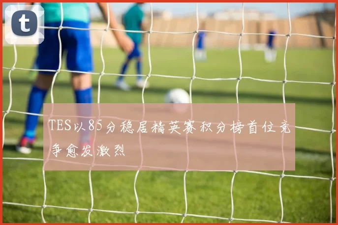 TES以85分稳居精英赛积分榜首位竞争愈发激烈