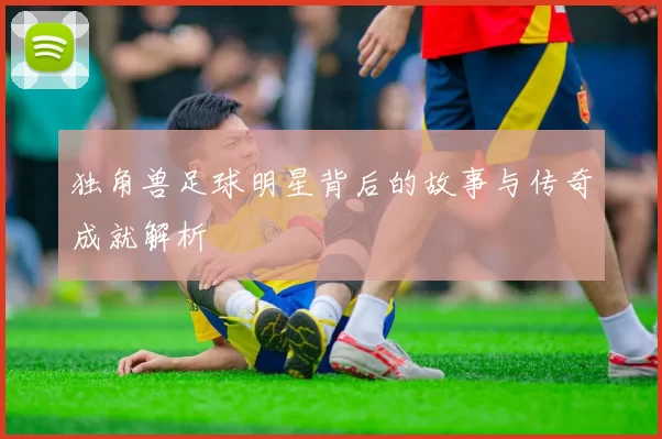 独角兽足球明星背后的故事与传奇成就解析