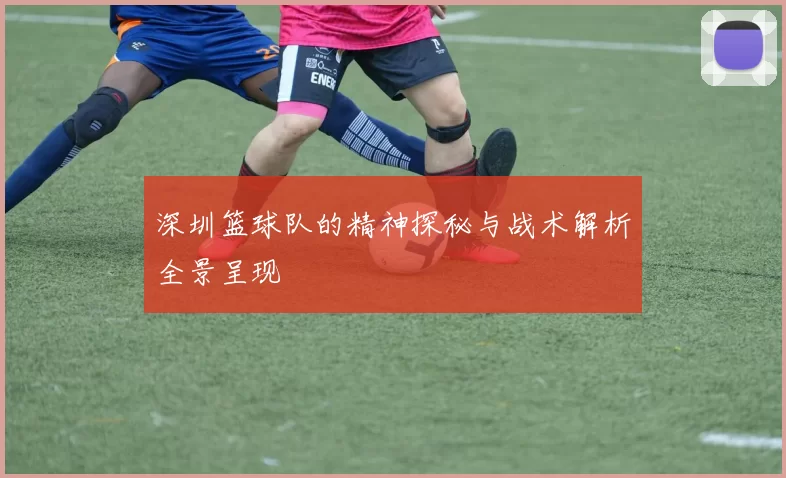 深圳篮球队的精神探秘与战术解析全景呈现