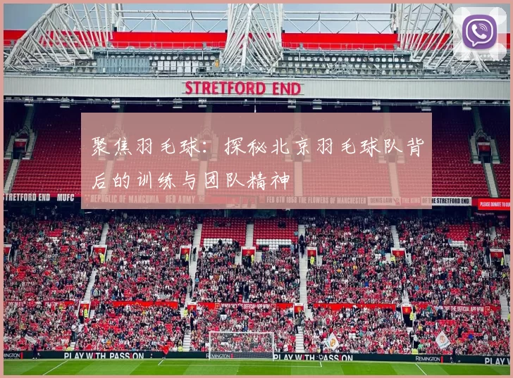 聚焦羽毛球：探秘北京羽毛球队背后的训练与团队精神
