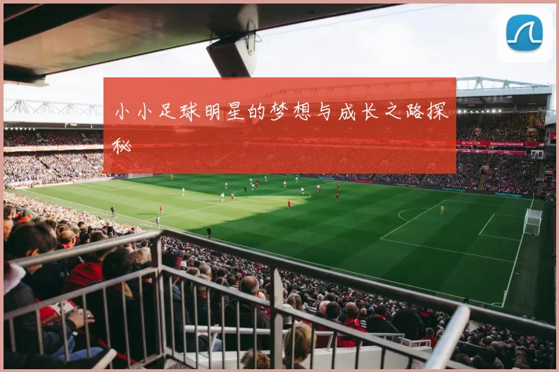 小小足球明星的梦想与成长之路探秘