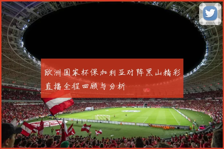 欧洲国家杯保加利亚对阵黑山精彩直播全程回顾与分析