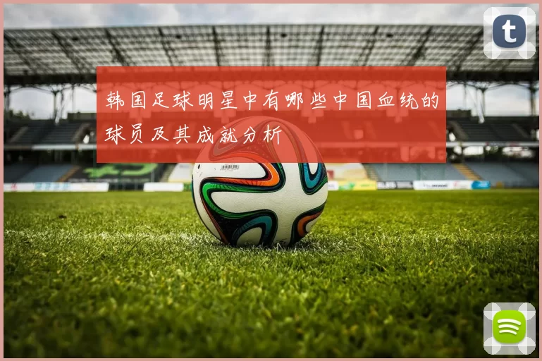 韩国足球明星中有哪些中国血统的球员及其成就分析